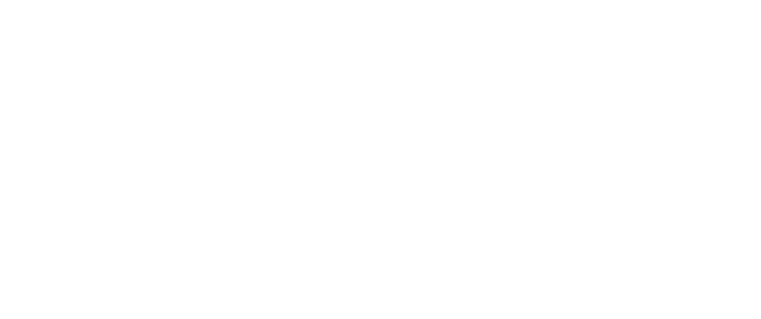InkubatorX logo Light
